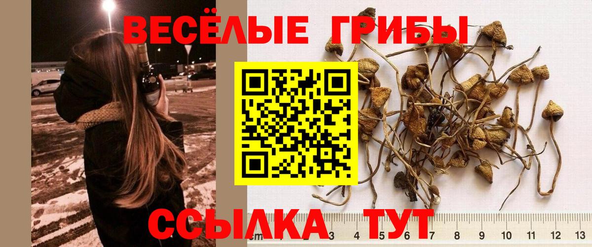 Псилоцибиновые грибы мухоморы  Галлюциногенные грибы мицелий  Вход с VPN  Алейск 